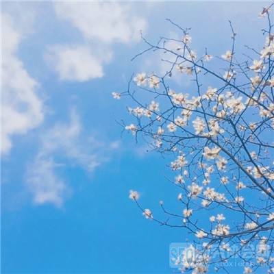 果果联萌最新版下载